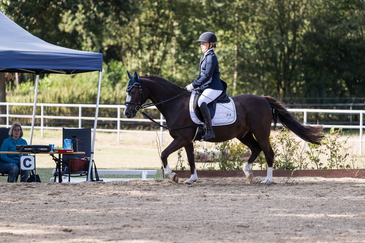 Bild 5 - Pony Akademie Turnier